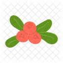 Berries Cranberries Decoration Icon