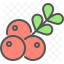 Cranberry Cranberries Berry Icon