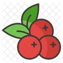 Cranberry  Icon