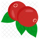 Cranberry  Icon