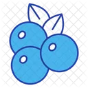 Cranberry Icon
