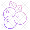 Cranberry Icon