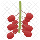 Cranberry Cranberry Fruit Berries Icon