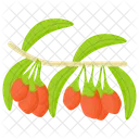 Cranberry Cranberry Fruit Berries Icon