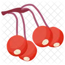 Cranberry Cranberry Fruit Berries Icon