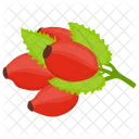 Cranberry Cranberry Fruit Berries Icon