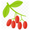 Cranberry Cranberry Fruit Berries Icon
