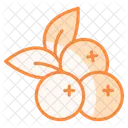 Fruit Food Sweet Icon