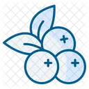 Fruit Food Sweet Icon
