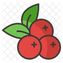 Fruit Food Sweet Icon