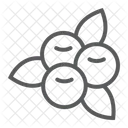 Cranberry Food Berry Icon