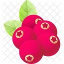 Cranberry  Icon