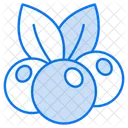 Cranberry Fruit Food Icon