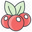 Cranberry  Icon