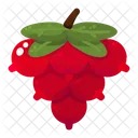 Cranberry Thanksgiving Autumn Icon