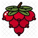 Cranberry Thanksgiving Autumn Icon