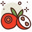 Cranberry Icon