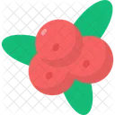 Cranberry Icon