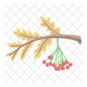 Cranberry Fruit Food Icon