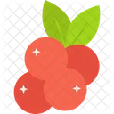 Cranberry Icon