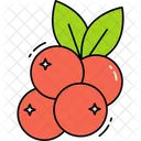 Cranberry Icon