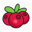 Cranberry  Icon