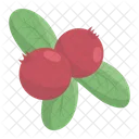 Cranberry Berry Fruit Icon