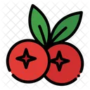Cranberry  Icon