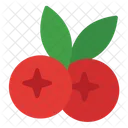 Cranberry  Icon