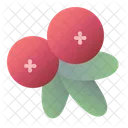 Cranberry Mooseberry Bog Berry Icon