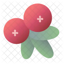 Cranberry  Icon