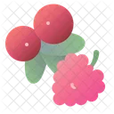 Cranberry Raspberry Mooseberry Icon