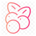 Cranberry  Icon