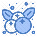Cranberry Berry Fruit Icon