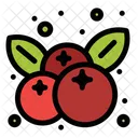 Cranberry  Icon