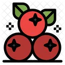 Cranberry  Icon