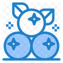 Cranberry Berry Fruit Icon