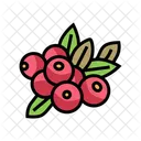 Cranberry  Icon