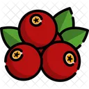 Cranberry Icon