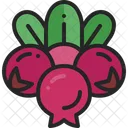 Cranberry Fruit Juice Icon