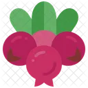 Cranberry Fruit Juice Icon