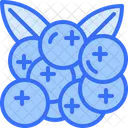 Cranberry Fruit Food Icon