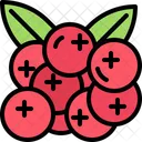 Cranberry  Icon