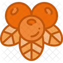 Cranberry Fruit Juice Icon