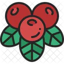 Cranberry Fruit Juice Icon