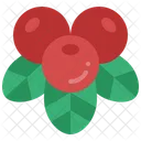 Cranberry Fruit Juice Icon