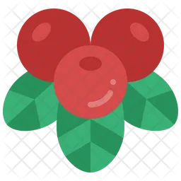 Cranberry  Icon