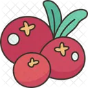 Cranberry  Icon