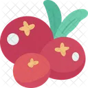 Cranberry  Icon