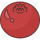 Cranberry  Icon